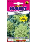 Chou-Fleur Romanesco
