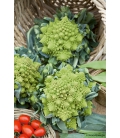 Chou-Fleur Romanesco 