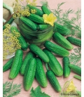 Cornichon Conny F1
