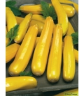 Courgette jaune Soleil F1