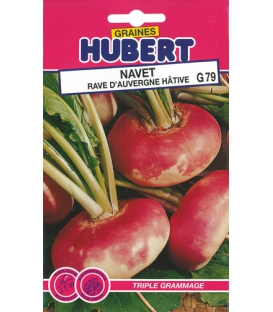 Navet Rave d'Auvergne Hâtif Format ECO