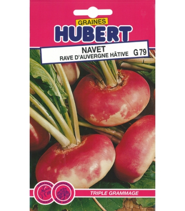 Navet Rave d'Auvergne H&acirc;tif Format ECO