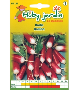 Radis Bamba