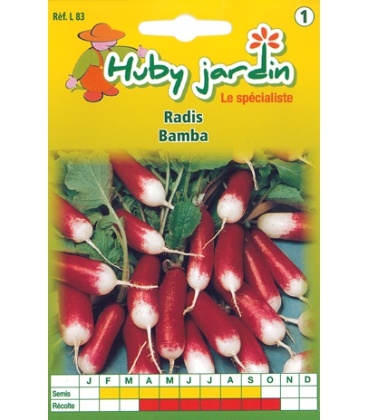 Radis Bamba