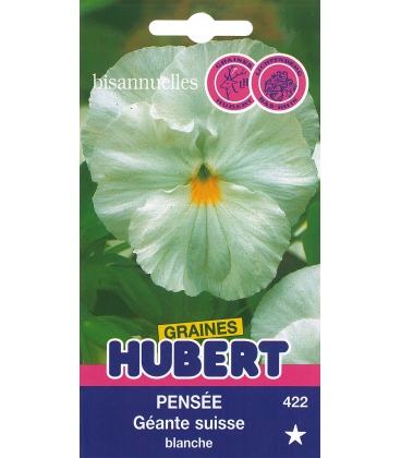 Pens&eacute;e G&eacute;ante Suisse Blanche