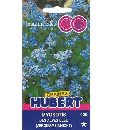 Myosotis des Alpes Bleu