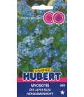 Myosotis des Alpes Bleu