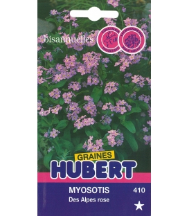 Myosotis des Alpes Rose