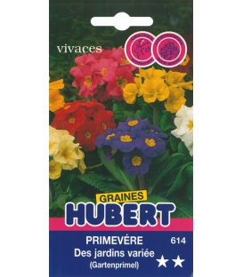 Graines de Primev&egrave;re des Jardins Vari&eacute;e