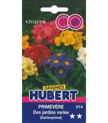 Primev&egrave;re des Jardins Vari&eacute;e