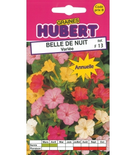 Graines de Belle de Nuit Vari&eacute;e &copy; Image prot&eacute;g&eacute;e t&eacute;l&eacute;chargement interdit !