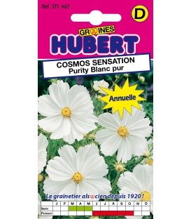 Cosmos Sensation Purity Blanc Pur &copy; Image prot&eacute;g&eacute;e t&eacute;l&eacute;chargement interdit !