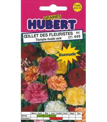 Oeillet des Fleuristes Triomphe Double Vari&eacute;