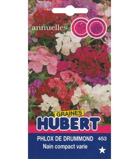 Graines de Phlox de Drummond Vari&eacute;