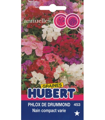 Phlox de Drummond Vari&eacute;