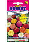 Zinnia Pompon Lilliput Double Varié