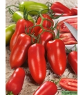 Tomate Cornue des Andes - © Image protégée téléchargement interdit