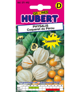 Physalis - Coqueret du P&eacute;rou &copy; Image prot&eacute;g&eacute;e t&eacute;l&eacute;chargement interdit !