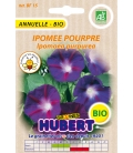 Ipomée Pourpre BIO - © Image protégée téléchargement interdit !