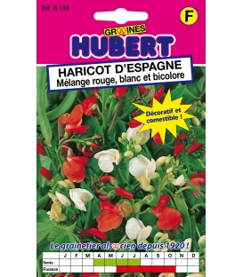 Graines de Haricot d'Espagne en M&eacute;lange &copy; Image prot&eacute;g&eacute;e t&eacute;l&eacute;chargement interdit !