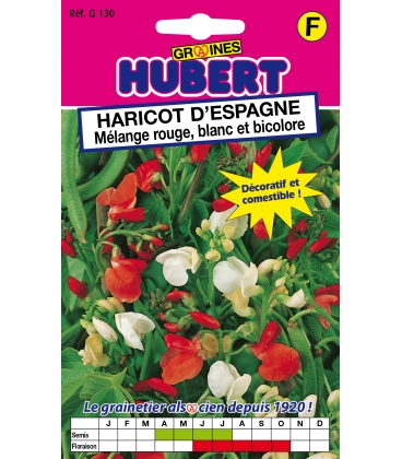 Graines de Haricot d'Espagne en M&eacute;lange