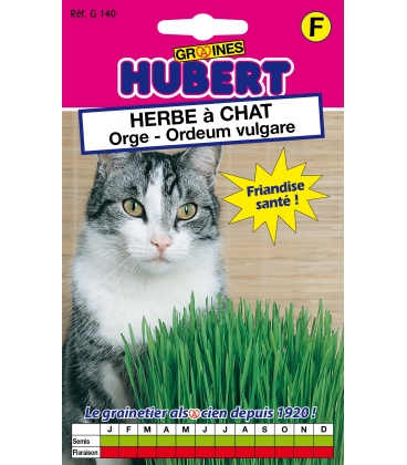 Graines d'Herbe &agrave; Chat Orge