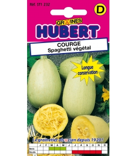 Courge Spaghetti Végétal