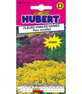 Fleurs Vivaces Naines Pour Rocailles &copy; Image prot&eacute;g&eacute;e t&eacute;l&eacute;chargement interdit !