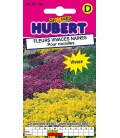 Fleurs Vivaces Naines Pour Rocailles