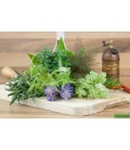 Aromates de Cuisine ©Image protégée téléchargement interdit !