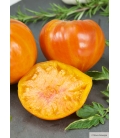 Tomate Ananas © Image Protégée,Téléchargement Interdit !