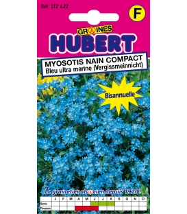 Myosotis Nain Compact Bleu Ultra Marine Vergissmeinnicht