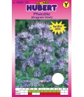 Graines de Phacélie - Phacelia Stala 