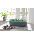 Système Mini-Serre & Jardinière  BoQube Anthracite / Vert