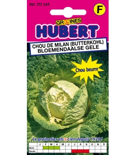 Chou de Milan Butterkohl