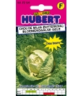 Chou de Milan Butterkohl - Bloemendaalse Gele