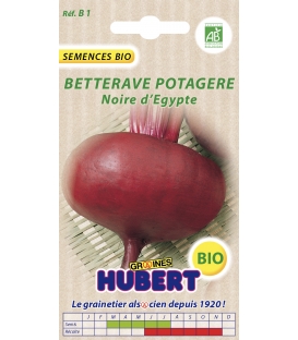 Betterave Potag&egrave;re Noire d'Egypte BIO
