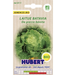 Laitue Batavia de Pierre B&eacute;nite BIO