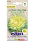 Chicorée Scarole Grosse Bouclée 2 BIO