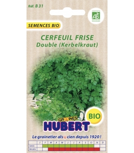 Graines de Cerfeuil Fris&eacute; Double BIO