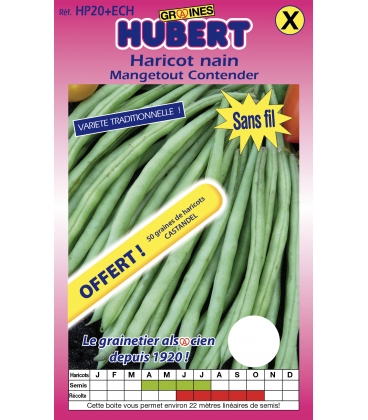 Haricot Contender - 350g. + Echantillon de 50 graines de Castandel