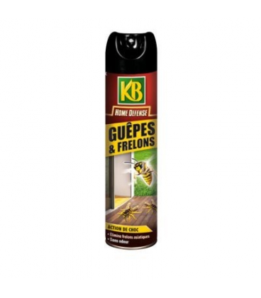 A&eacute;rosol Contre Gu&ecirc;pes & Frelons Action Choc 400 ml