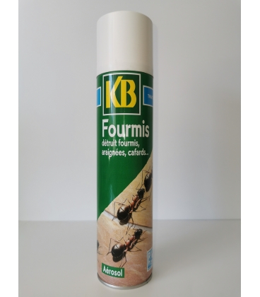 Traitement Anti-Fourmis A&eacute;rosol 400 ml