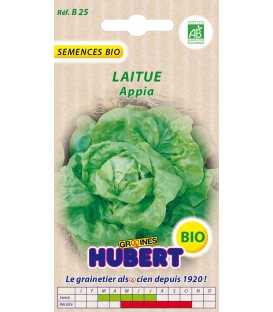 Laitue Appia BIO
