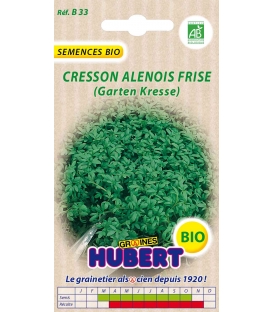 Cresson Al&eacute;nois Fris&eacute; BIO &copy; Images prot&eacute;g&eacute;es t&eacute;l&eacute;chargement interdit !