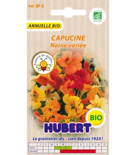 Graines de Capucine Naine Vari&eacute;e BIO