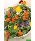 Fleurs Comestibles BIO ©Images protégées téléchargement interdit !