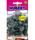 Basilic Pourpre Rubin