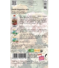 Zinnia Peppermint Stick © Image protégée téléchargement interdit !