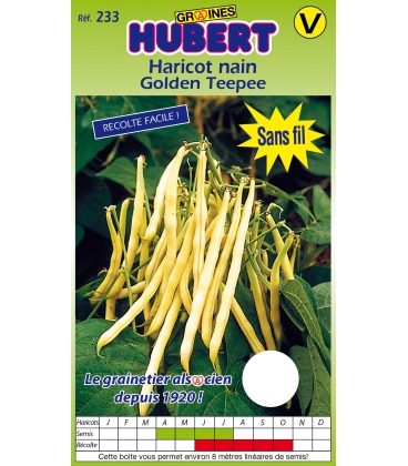 Haricot Golden Teepee Nain Mangetout